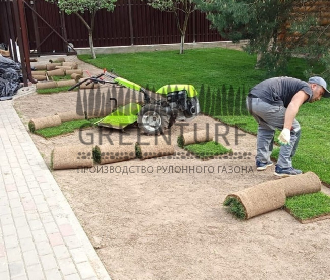 Озеленение территории в Домодедовском районе д. Сонино - фото - 6