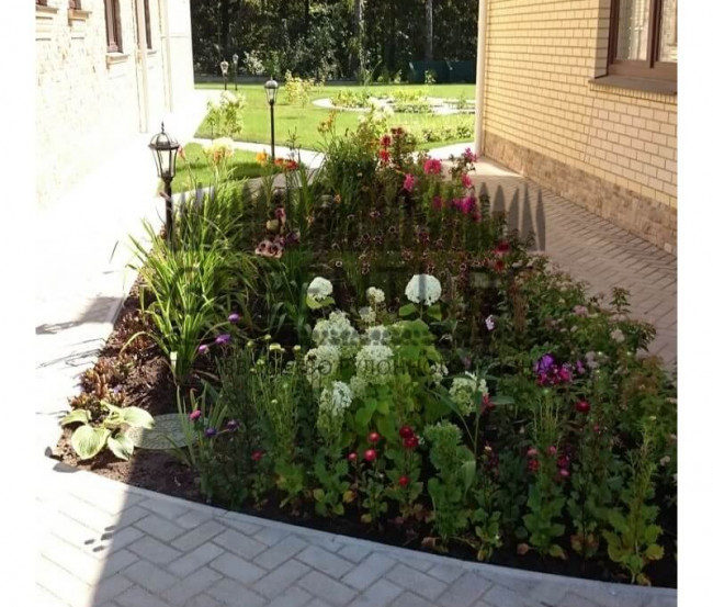 Цветники для участка, рокарии, декоративная отсыпка - фото - 6