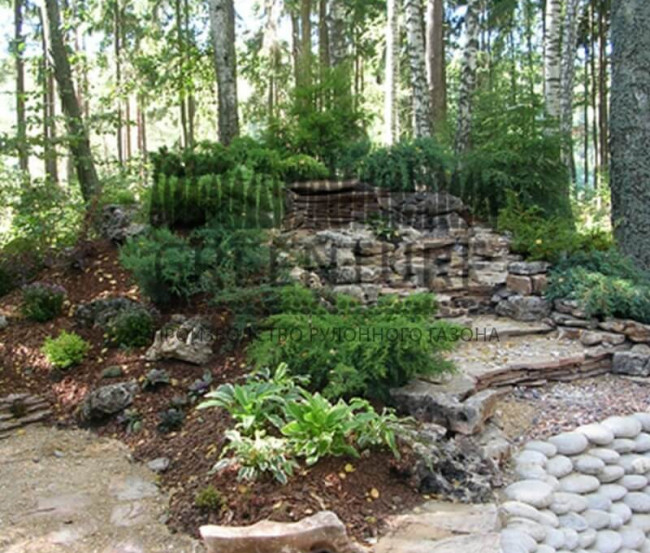 Цветники для участка, рокарии, декоративная отсыпка - фото - 5