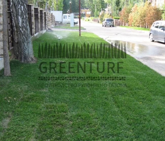 Озеленение коттеджного поселка “La Promenade” - фото - 10