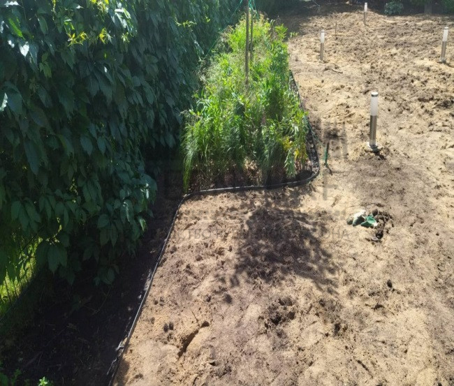 Устройство пошаговой дорожки, КП Изумрудный - фото - 4