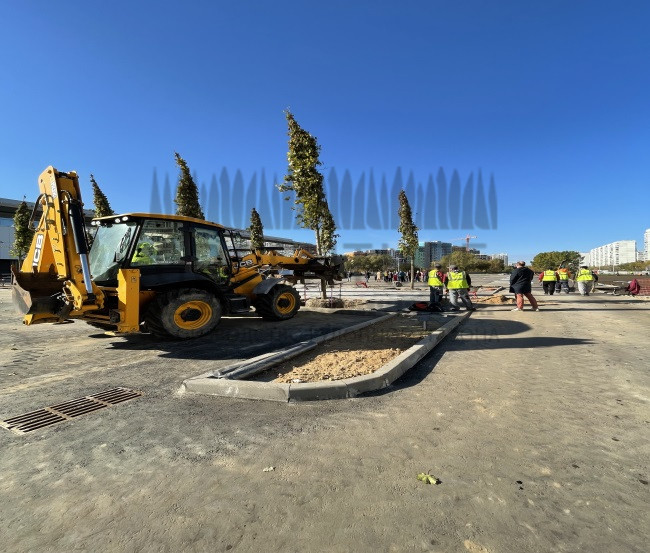 Благоустройство ТРЦ 