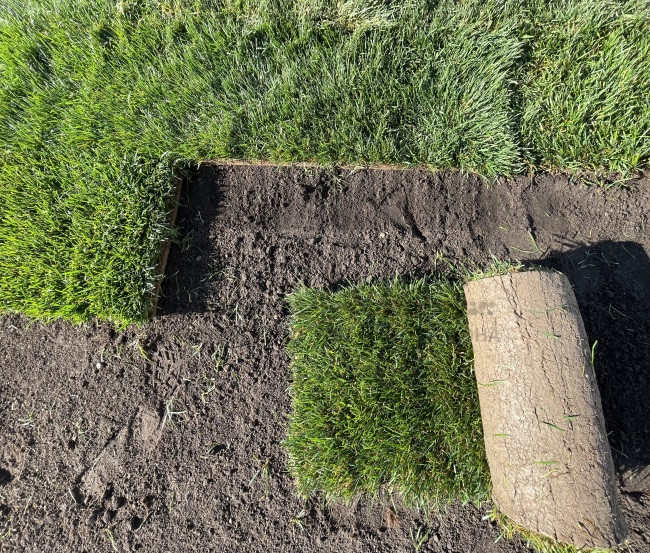 Благоустройство ТРЦ 