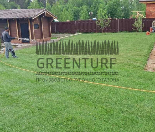 Озеленение территории Руза Фэмили Парк - фото - 1