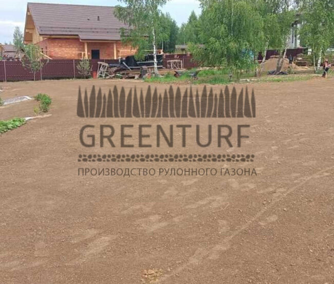 Озеленение территории Руза Фэмили Парк - фото - 7